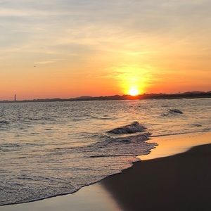 Meet your Posher, Sofia